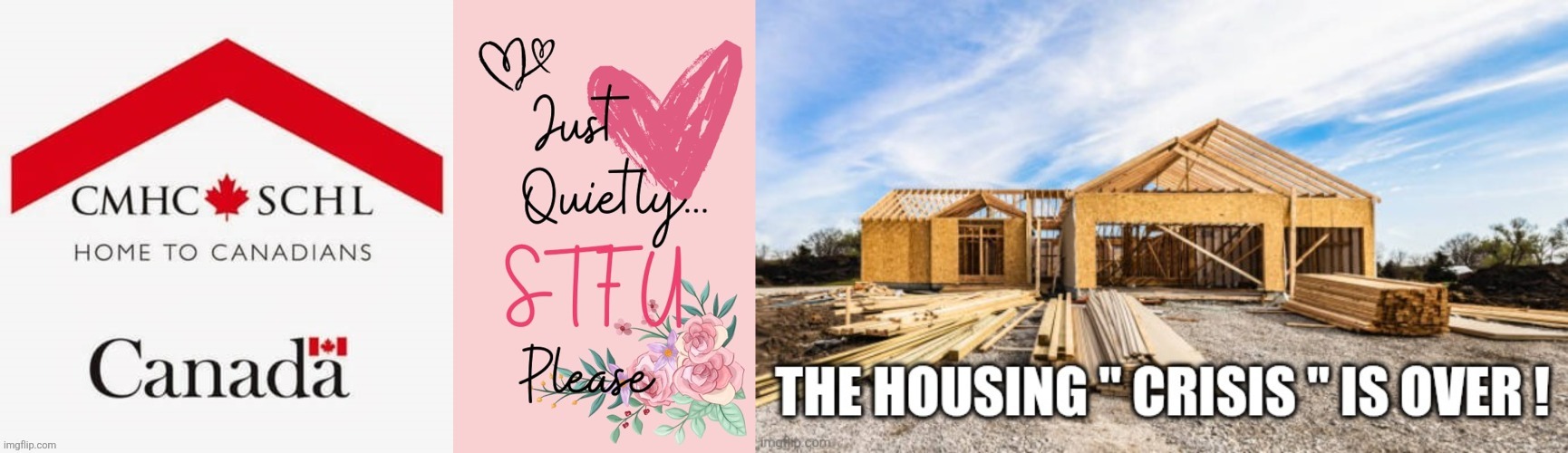 Canadian politics | image tagged in political meme | made w/ Imgflip meme maker