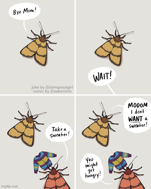 image tagged in moth,moths,mom,sweater,food,hungry | made w/ Imgflip meme maker