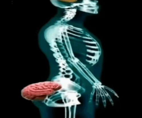 Butt brain Blank Meme Template