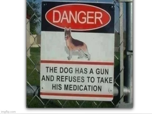 I found this while looking at dog photos on google | image tagged in dog | made w/ Imgflip meme maker