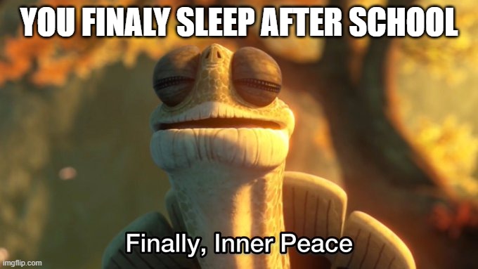 Finally, inner peace HD | YOU FINALY SLEEP AFTER SCHOOL | image tagged in finally inner peace hd | made w/ Imgflip meme maker