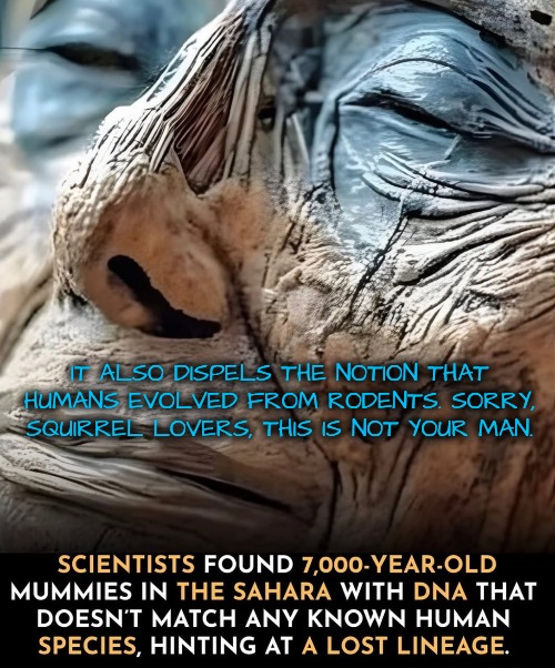 No man for the squirrels | IT ALSO DISPELS THE NOTION THAT HUMANS EVOLVED FROM RODENTS. SORRY, SQUIRREL LOVERS, THIS IS NOT YOUR MAN. | image tagged in humans did not evolve from rodents,if you love squirrels it doesn't mean they're your cousins | made w/ Imgflip meme maker