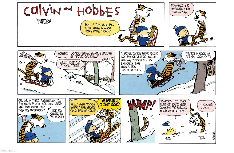 image tagged in calvin and hobbes,comics | made w/ Imgflip meme maker