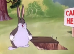 big chungus Blank Meme Template