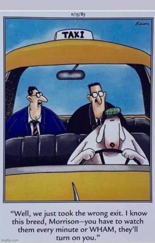The taxi driver… | image tagged in the far side,comics,taxi,dog,passengers,warning | made w/ Imgflip meme maker