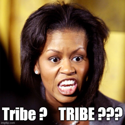 Tribe ?    TRIBE ??? | made w/ Imgflip meme maker