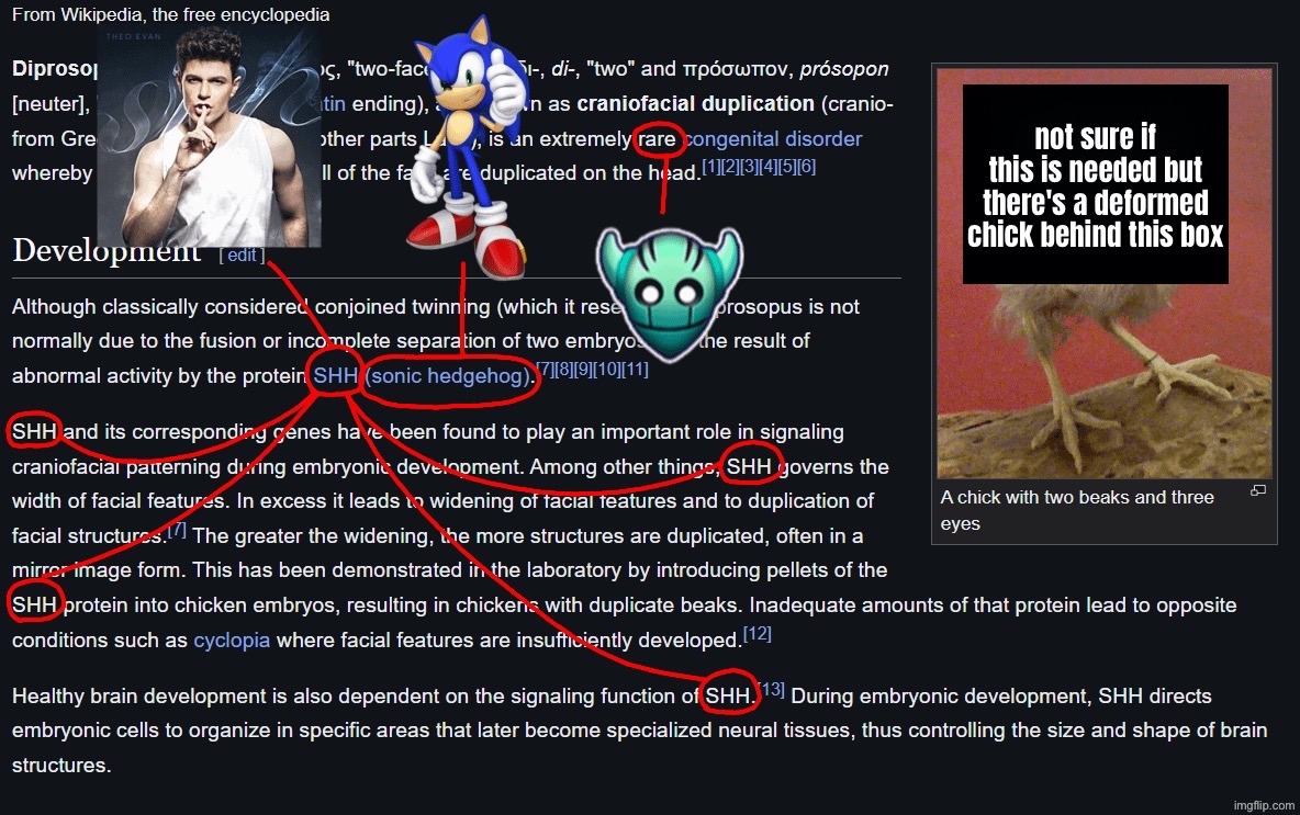 not sure if this is needed but there's a deformed chick behind this box | made w/ Imgflip meme maker