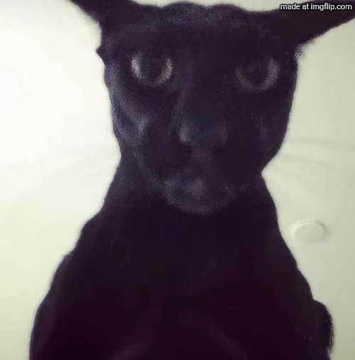 evil larry | image tagged in evil larry | made w/ Imgflip meme maker