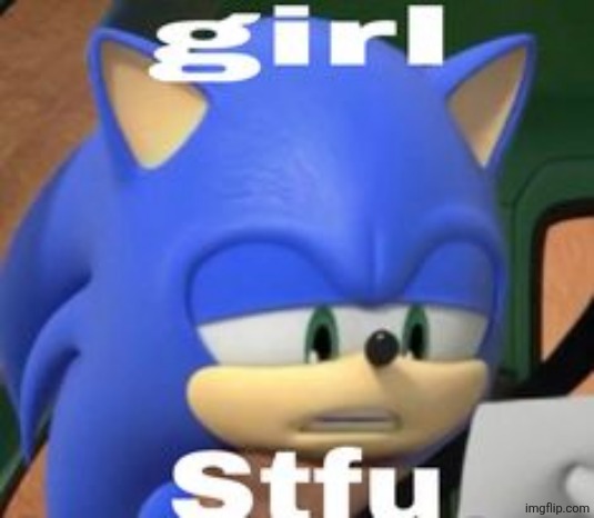 sonic girl stfu | image tagged in sonic girl stfu | made w/ Imgflip meme maker