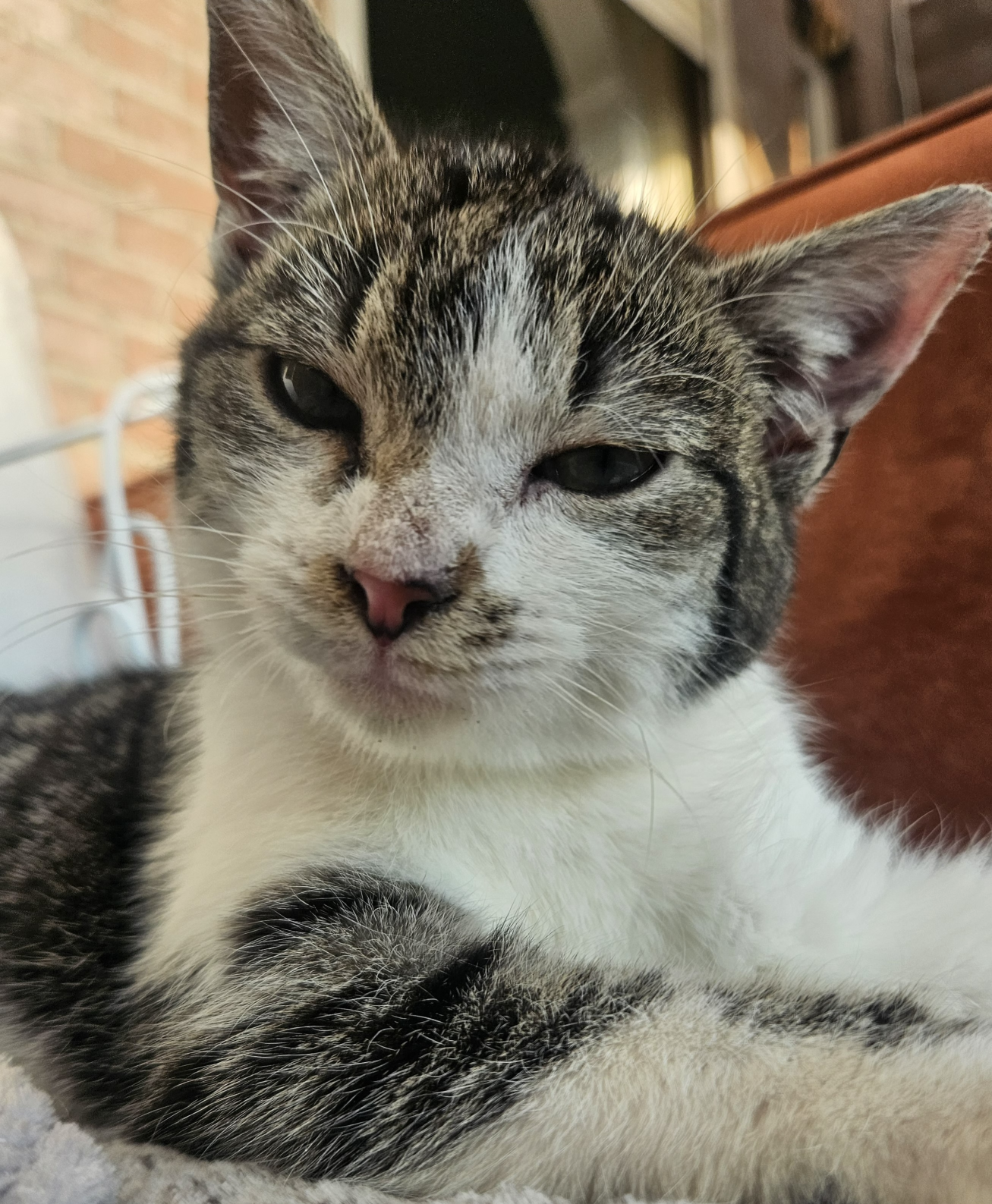 funny? Blank Meme Template