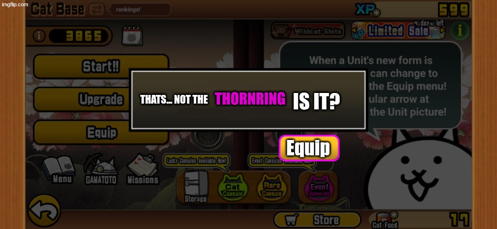 item obtain | THORNRING; IS IT? THATS... NOT THE; Equip | image tagged in item obtain | made w/ Imgflip meme maker