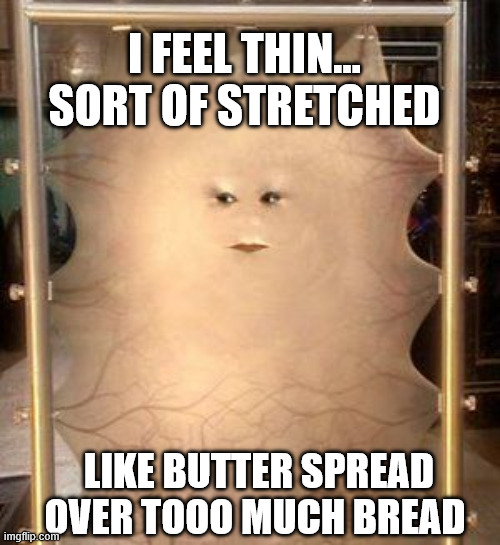 In a parallel universe | I FEEL THIN... SORT OF STRETCHED; LIKE BUTTER SPREAD OVER TOOO MUCH BREAD | image tagged in cassandra moisturize me,i feel thin,lotr | made w/ Imgflip meme maker