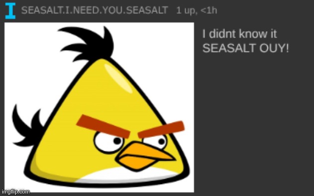 good morning guys | image tagged in seasalt ouy | made w/ Imgflip meme maker