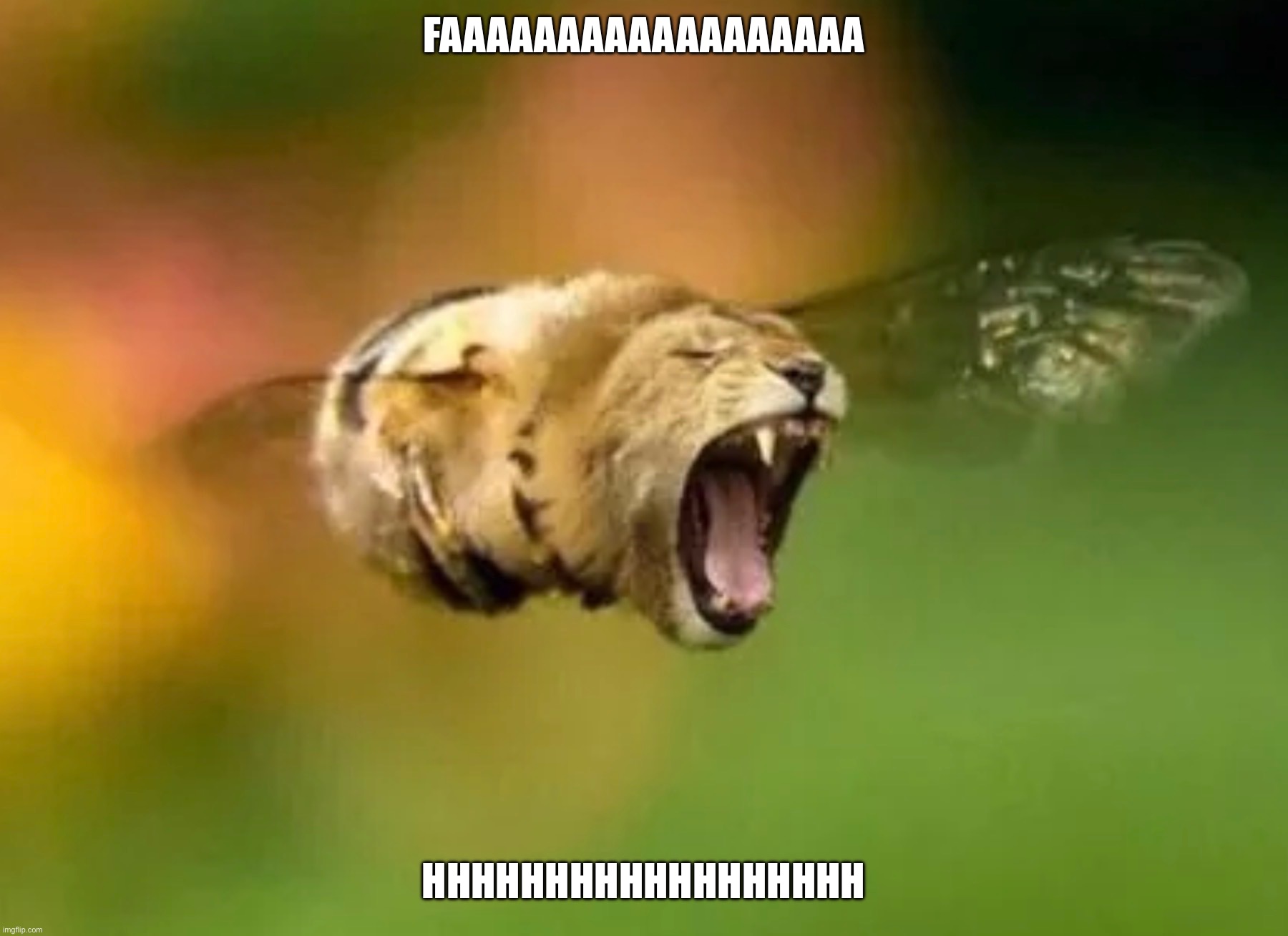 Me when something goes wrong | FAAAAAAAAAAAAAAAAAA; HHHHHHHHHHHHHHHHHH | image tagged in funny,reaction | made w/ Imgflip meme maker