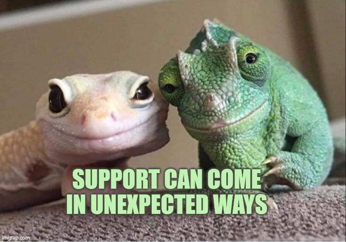 Support can come in unexpected ways | SUPPORT CAN COME IN UNEXPECTED WAYS | image tagged in supportive lizards gecko grand-parents,autism,support,jo farmer,help,company | made w/ Imgflip meme maker
