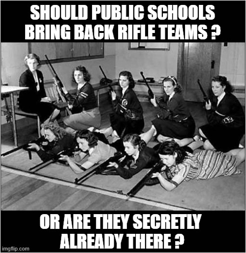 School Shooting Teams ? | SHOULD PUBLIC SCHOOLS BRING BACK RIFLE TEAMS ? OR ARE THEY SECRETLY
 ALREADY THERE ? | image tagged in school shooting,teams | made w/ Imgflip meme maker