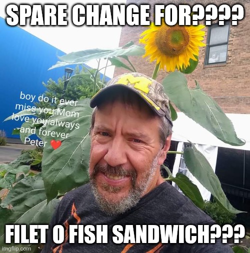 Peter Plant | SPARE CHANGE FOR???? FILET O FISH SANDWICH??? | image tagged in peter plant,mcdonalds,ronald mcdonald,poor people,funny memes | made w/ Imgflip meme maker
