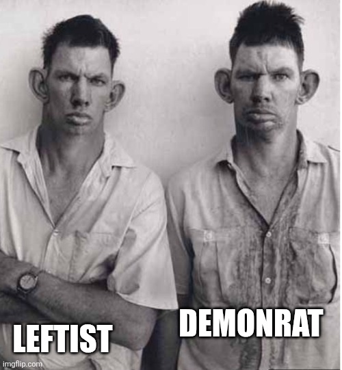 Dumb and demonrat | LEFTIST; DEMONRAT | made w/ Imgflip meme maker