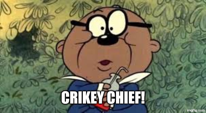 penfold | CRIKEY CHIEF! | image tagged in penfold | made w/ Imgflip meme maker