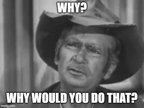 Jed Clampett | WHY? WHY WOULD YOU DO THAT? | image tagged in jed clampett | made w/ Imgflip meme maker