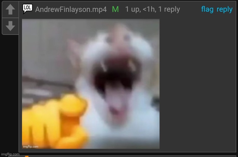 ㅤ | image tagged in andrew point laugh | made w/ Imgflip meme maker