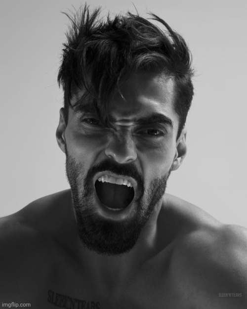 Screaming Gigachad | image tagged in screaming gigachad | made w/ Imgflip meme maker