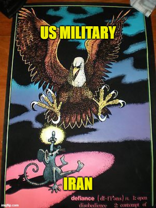 Last Act of Defiance | US MILITARY; IRAN | image tagged in us military,iran,defiance,flipping off,eagle | made w/ Imgflip meme maker
