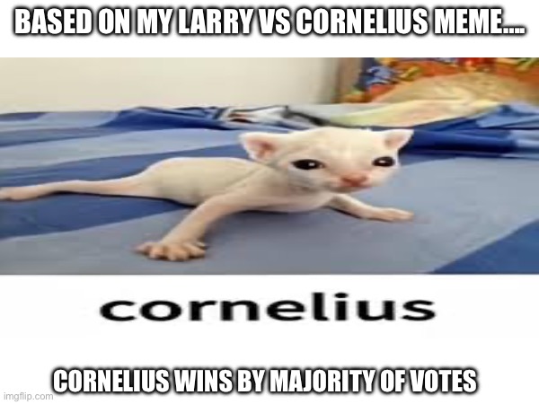 Winner of The Who would win Larry vs Cornelius meme | BASED ON MY LARRY VS CORNELIUS MEME…. CORNELIUS WINS BY MAJORITY OF VOTES | image tagged in cats | made w/ Imgflip meme maker