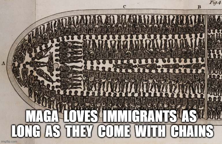 By the Boatload | MAGA  LOVES  IMMIGRANTS  AS  LONG  AS  THEY  COME  WITH  CHAINS | image tagged in trump immigration policy | made w/ Imgflip meme maker