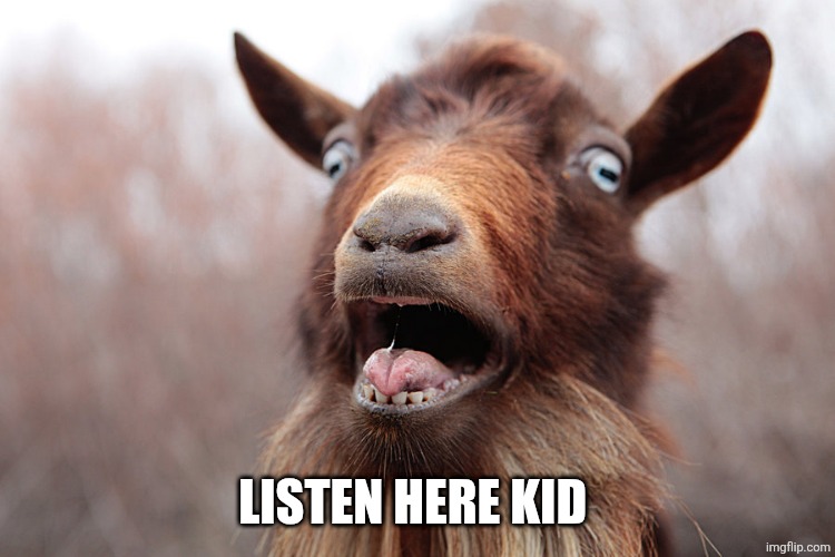 Ain't Afraid of No Goat | LISTEN HERE KID | image tagged in ain't afraid of no goat | made w/ Imgflip meme maker
