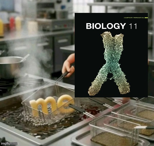 TS frying me | image tagged in ts frying me | made w/ Imgflip meme maker