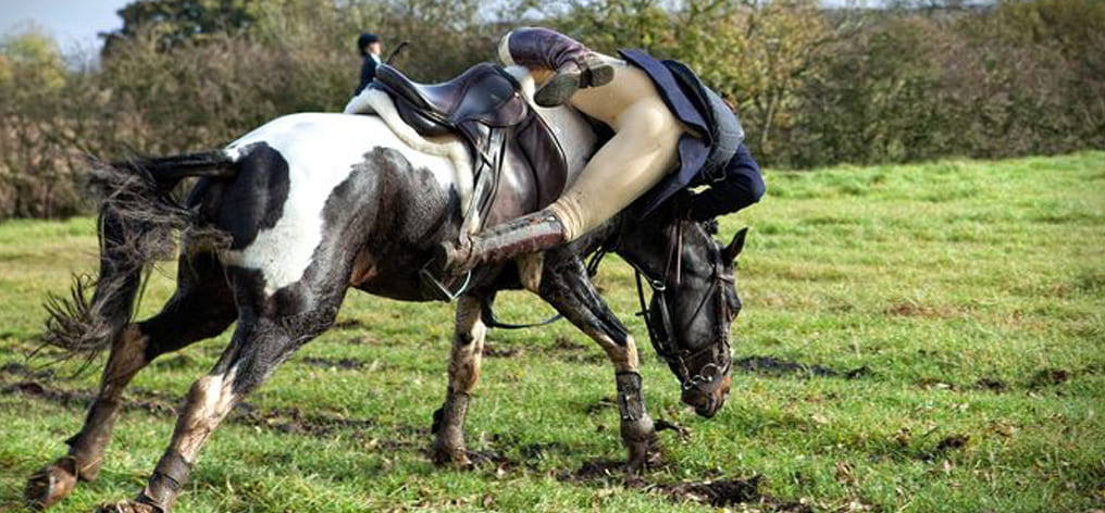 I can ride horses! Blank Meme Template