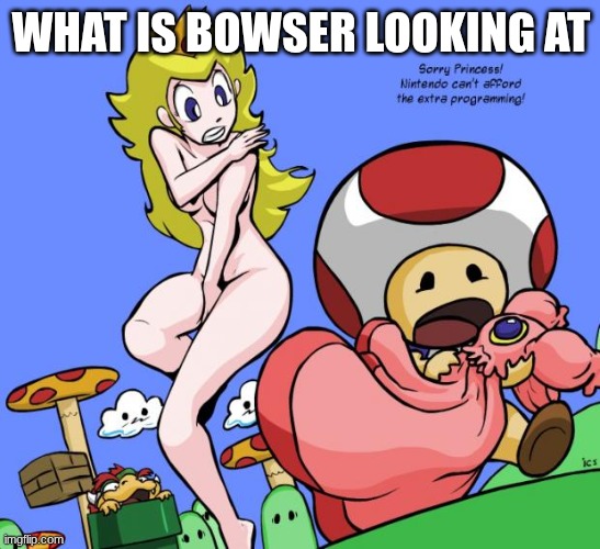 Nintend OH! I'm naked! | WHAT IS BOWSER LOOKING AT | image tagged in nintend oh i'm naked | made w/ Imgflip meme maker