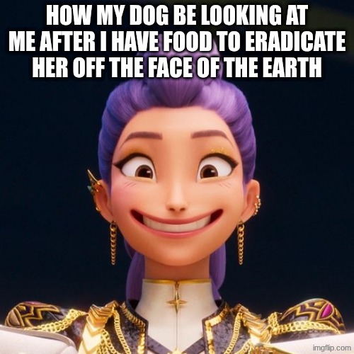 Dawg shes a dog she cant have that stuff | HOW MY DOG BE LOOKING AT ME AFTER I HAVE FOOD TO ERADICATE HER OFF THE FACE OF THE EARTH | image tagged in dogs | made w/ Imgflip meme maker