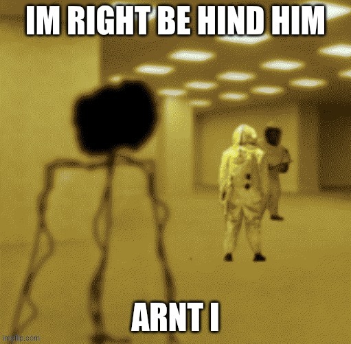 backrooms pt2 | image tagged in the backrooms,backrooms | made w/ Imgflip meme maker