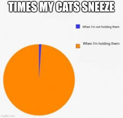 Pie Chart Meme | TIMES MY CATS SNEEZE; When I'm not holding them; When I'm holding them | image tagged in pie chart meme | made w/ Imgflip meme maker
