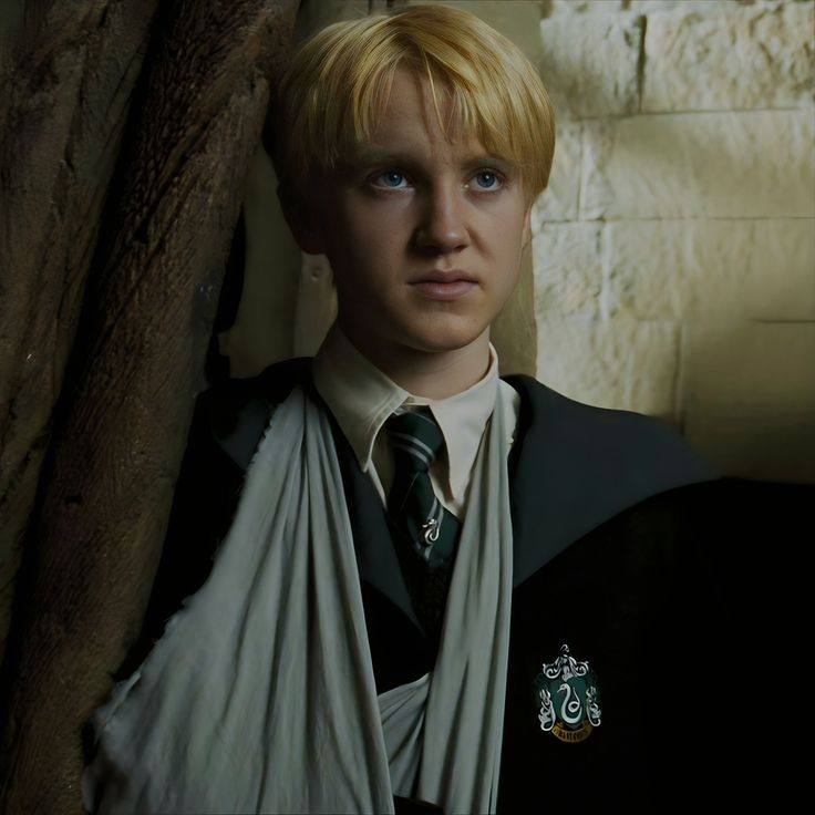 Draco Blank Meme Template