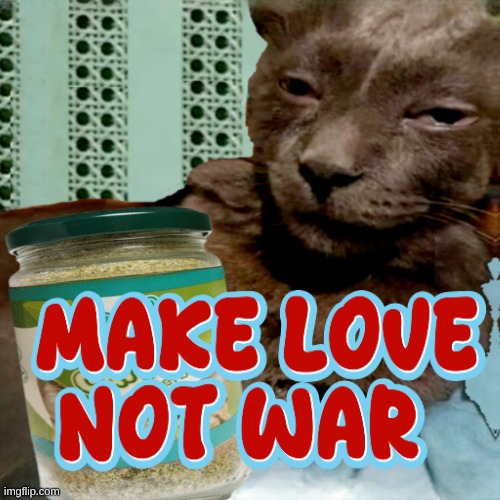 Make Love, Not War | image tagged in shit poster 4 lyfe,love wins,no war,catnip,good vibes | made w/ Imgflip meme maker