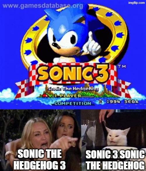 Sonic 3 Sonic the Hedgehog | SONIC THE HEDGEHOG 3; SONIC 3 SONIC THE HEDGEHOG | image tagged in woman yelling at cat | made w/ Imgflip meme maker