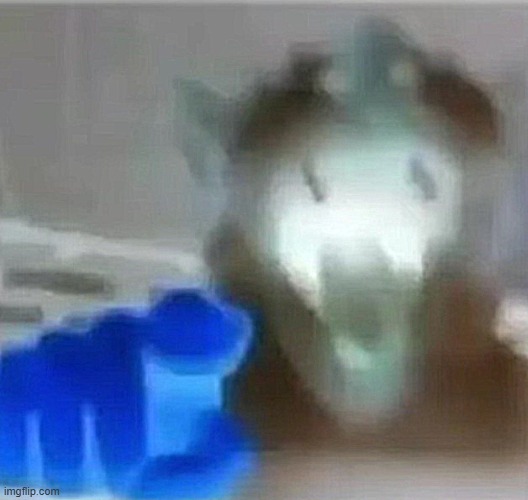 Cat pointing and laughing | image tagged in cat pointing and laughing | made w/ Imgflip meme maker