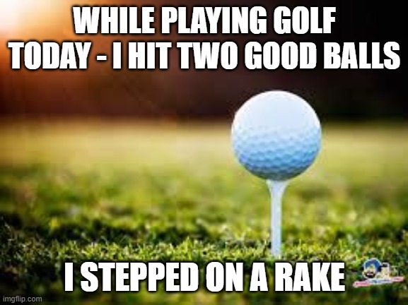Golf | WHILE PLAYING GOLF TODAY - I HIT TWO GOOD BALLS; I STEPPED ON A RAKE | image tagged in golfball | made w/ Imgflip meme maker
