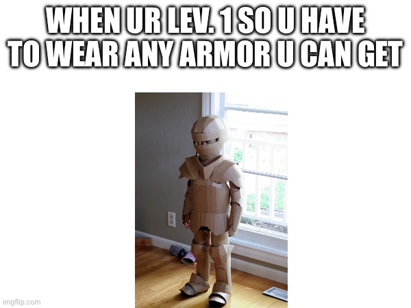 Basically any rpg game | WHEN UR LEV. 1 SO U HAVE TO WEAR ANY ARMOR U CAN GET | image tagged in memes,video games | made w/ Imgflip meme maker