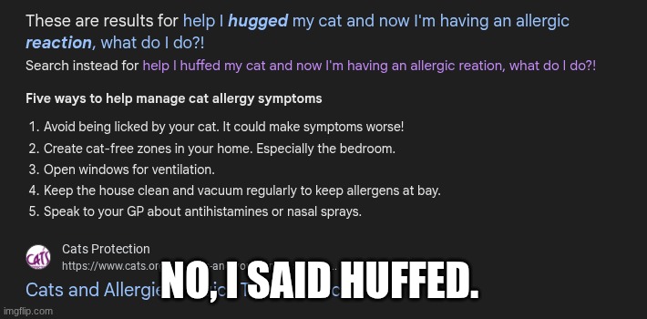 I love my cat | NO, I SAID HUFFED. | image tagged in cat,cats,smell,google search | made w/ Imgflip meme maker