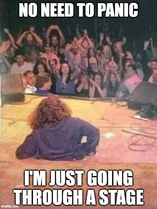 Rock 'n Roll isn't for the faint of heart | NO NEED TO PANIC; I'M JUST GOING THROUGH A STAGE | image tagged in vince vance,rock concert,audience,singer,stage,memes | made w/ Imgflip meme maker