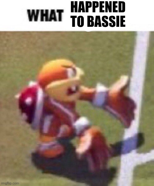 What the heck | HAPPENED TO BASSIE | image tagged in what the heck | made w/ Imgflip meme maker