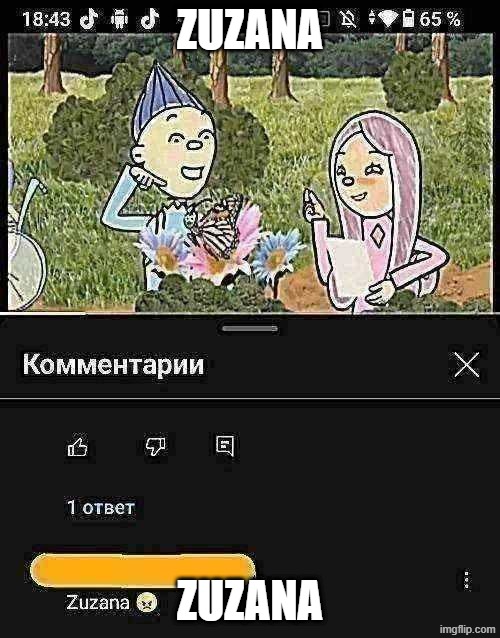Zuzana (do not look at the 6th tag) | ZUZANA; ZUZANA | image tagged in zuzana,msmg,shitpost,funny,youtube comments,9geor3 | made w/ Imgflip meme maker