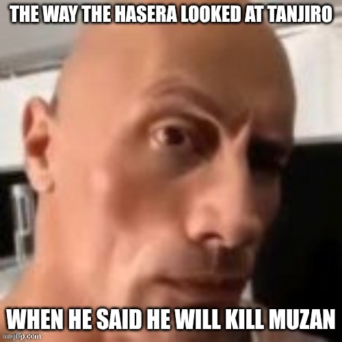 doubt* | THE WAY THE HASERA LOOKED AT TANJIRO; WHEN HE SAID HE WILL KILL MUZAN | image tagged in rock raising eyebrow,demon slayer | made w/ Imgflip meme maker