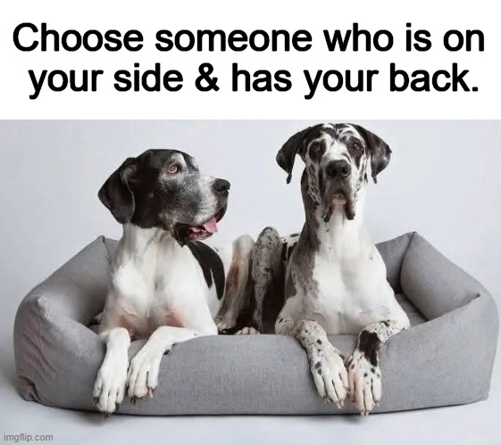 Relationship Advice | Choose someone who is on 
your side & has your back. | image tagged in choices,advice dog,advice,which side are you on,commitment,support | made w/ Imgflip meme maker