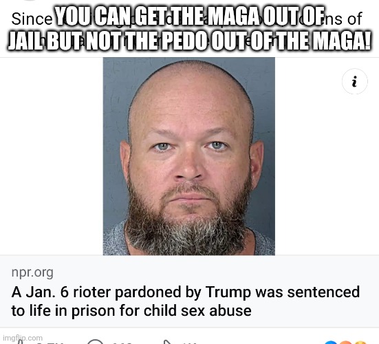 You just can't get it out! | YOU CAN GET THE MAGA OUT OF JAIL BUT NOT THE PEDO OUT OF THE MAGA! | image tagged in donald trump,trump,maga,jeffrey epstein,epstein,nevertrump | made w/ Imgflip meme maker