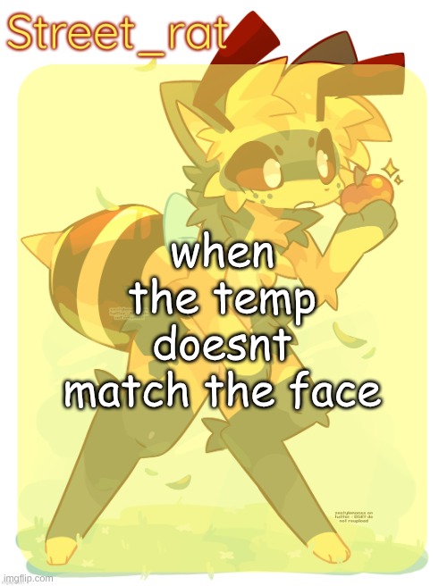 Rats beecat temp | when the temp doesnt match the face | image tagged in rats beecat temp | made w/ Imgflip meme maker